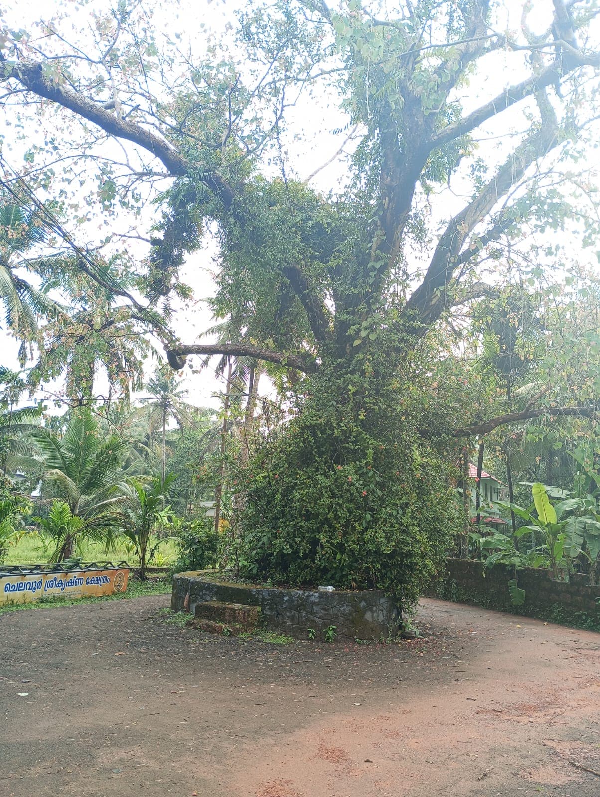 Chelavoor Sreekrishna Temple gallery 2