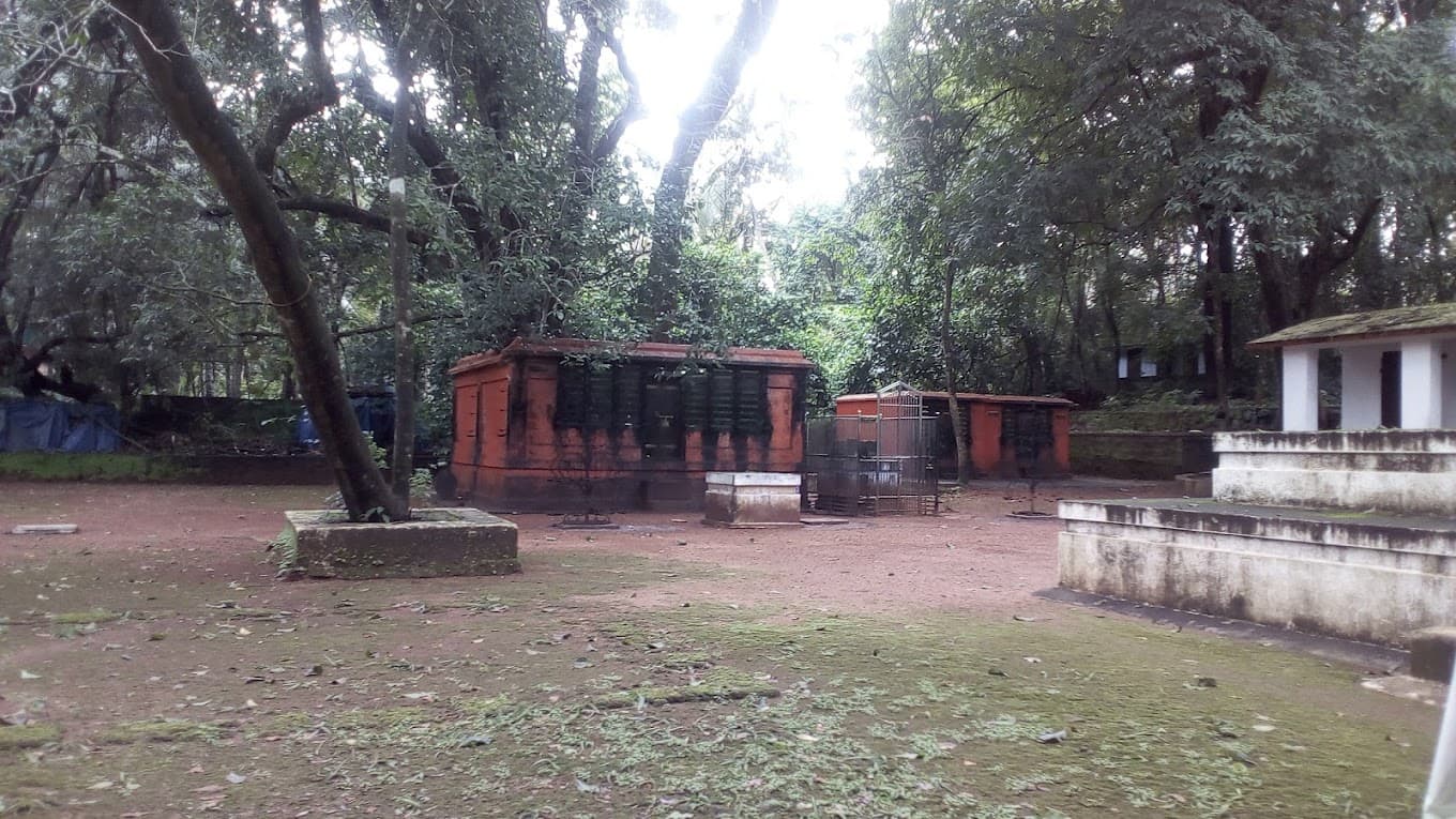 Thiruthikkavu gallery 4