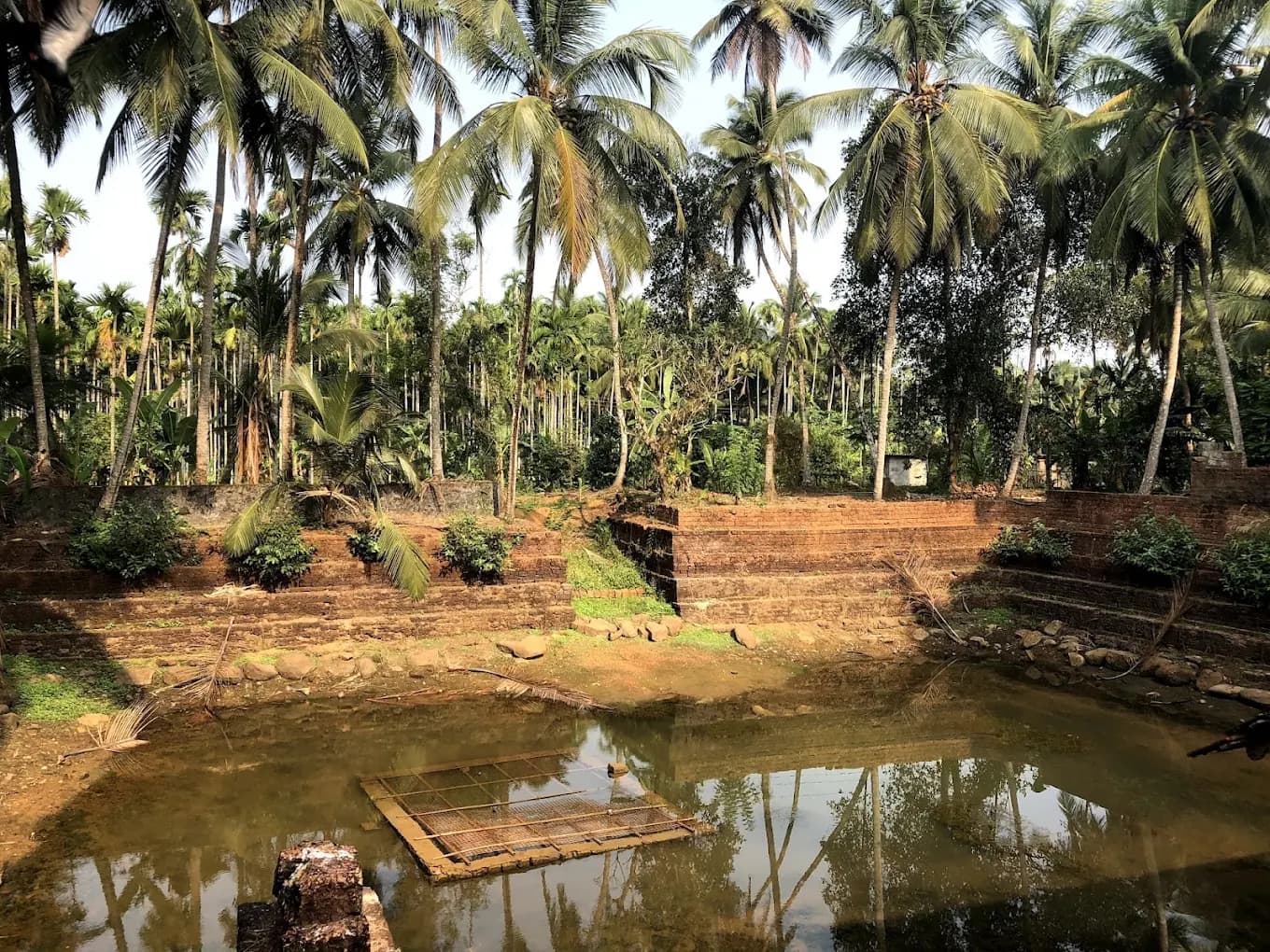 POYILIKAVU SREE KARINKALI KSHETHRAM (Unit Of Kizhakke Covilakam Central Devaswam) gallery 7